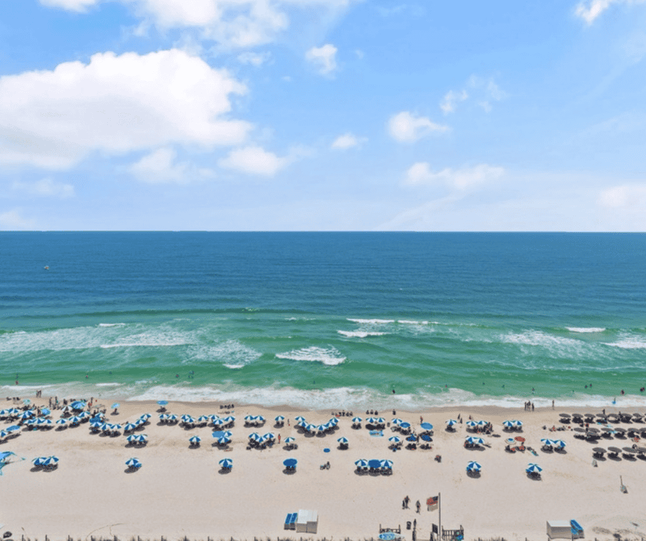 Image for No Fest? Just Hangout.